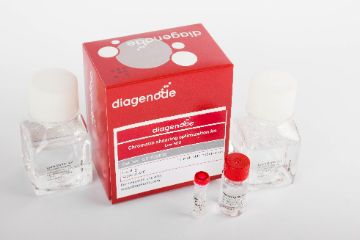 diagenode-c01020010-kit